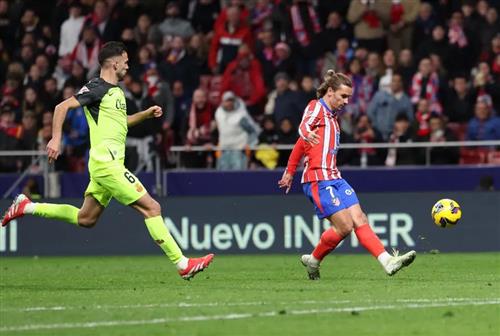 Betting Fixed Odds: Complete Guide and Strategies